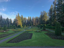 things to do in spokane manito park