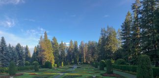things to do in spokane manito park