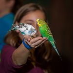 Spokane Blue Zoo birds