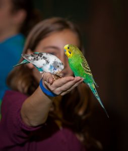 Spokane Blue Zoo