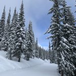Sunny Powder Day at Schweitzer Mountain Resort Spokane Area Ski Resorts