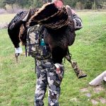 Turkey Hunt Human Nature Hunting