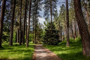 Spokane Picnic Parks