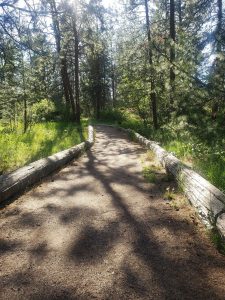 Spokane biking trails