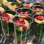 Hydrofarm for the Homeless a fresh look at the salad cups
