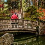 Japanese Gardens Spokane Instagram spots Spokane City
