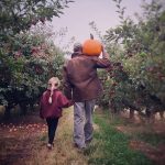 Pumpkin Farms Spokane hidden acres orchards