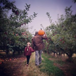 Pumpkin Farms Spokane