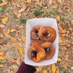 Pumpkin Farms Spokane pumpkin donuts at high country orchard