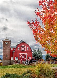 fall leaves Spokane