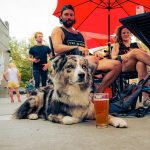 Brick West Brewing Adoption and Fundraising Event Spokane