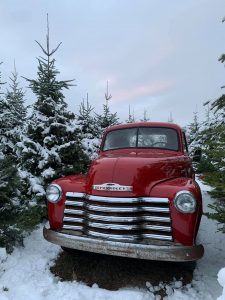 Christmas Trees Spokane