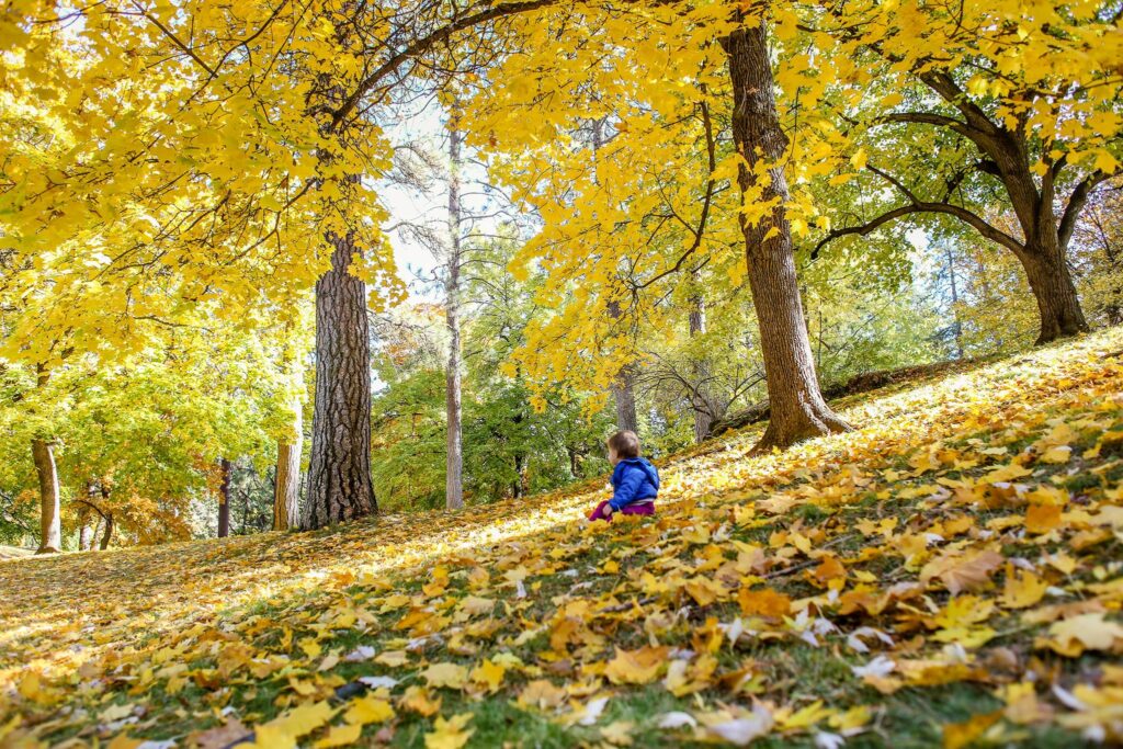 mental health Spokane