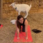 Animal Sanctuaries Spokane goat yoga