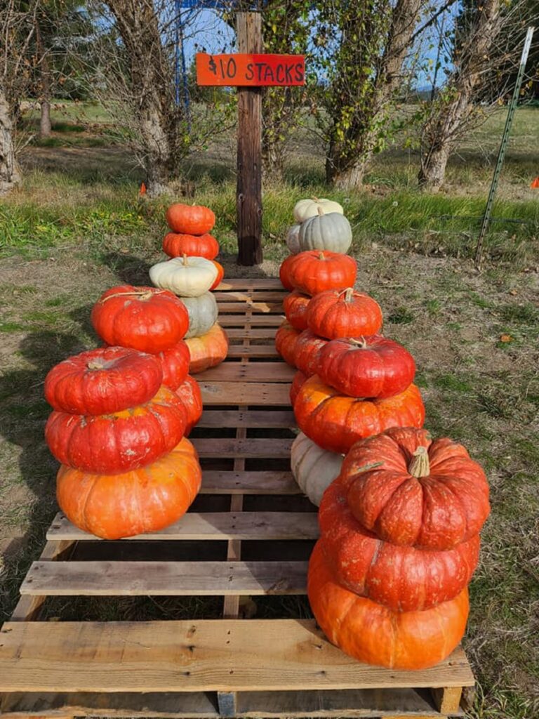 Spokane Pumpkin Patches