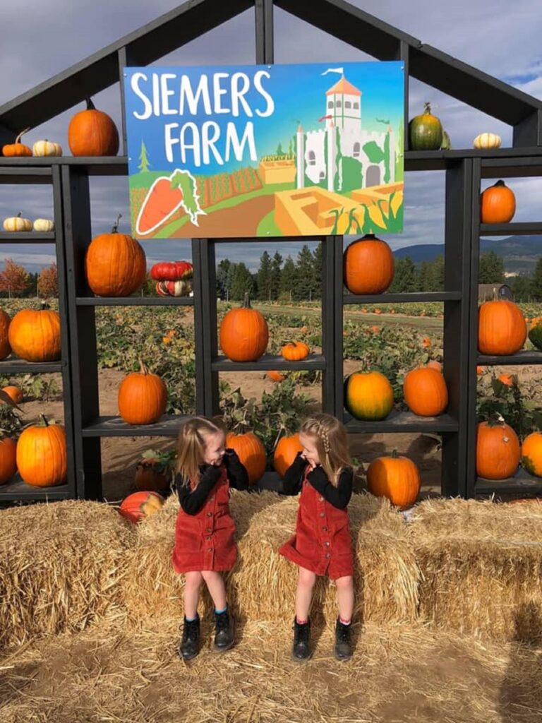 Spokane Pumpkin Patches