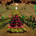 Christmas Lights Spokane manito park
