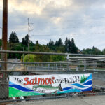 Salmon-olympia-5th-Avenue-Bridge