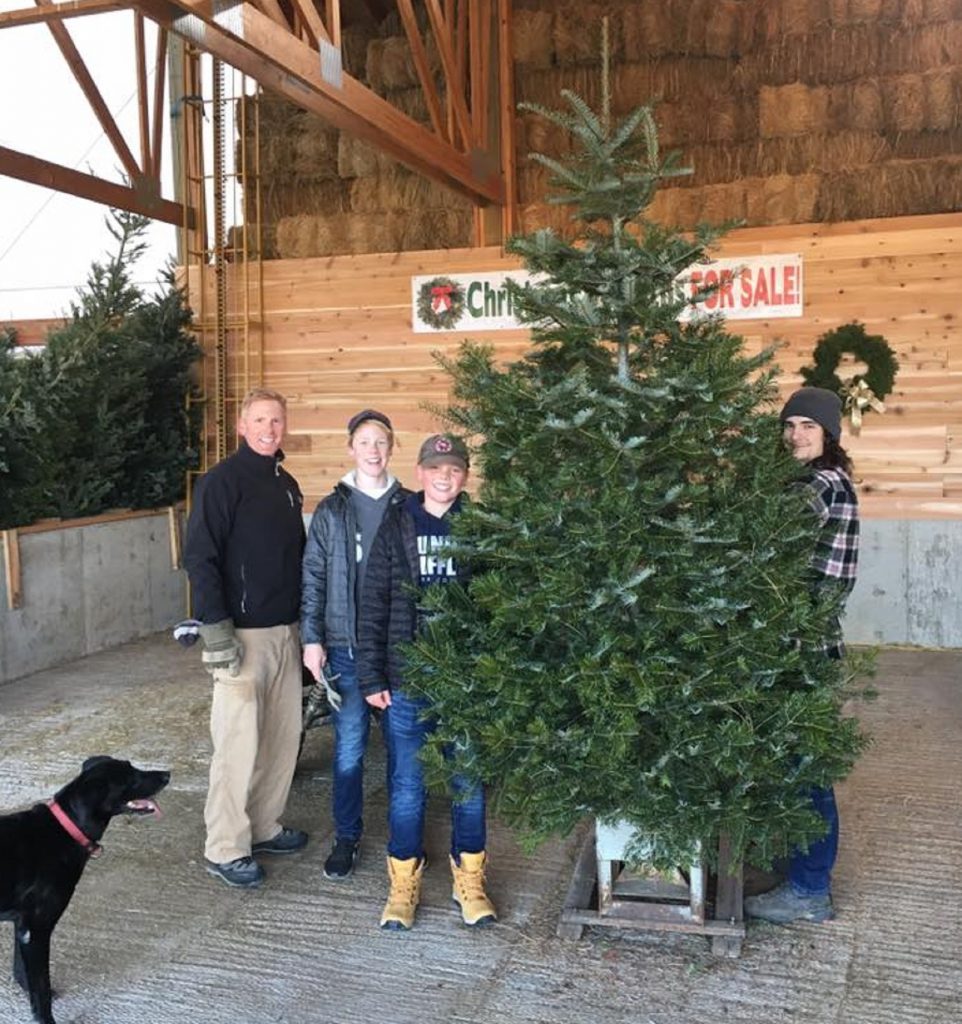 Spokane Christmas Tree Farms