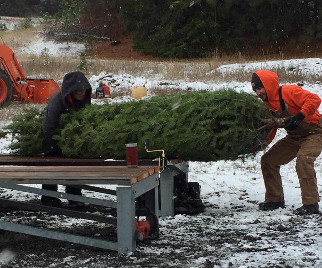 Spokane Christmas Tree Farms