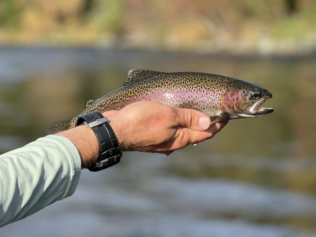 Spokane fishing