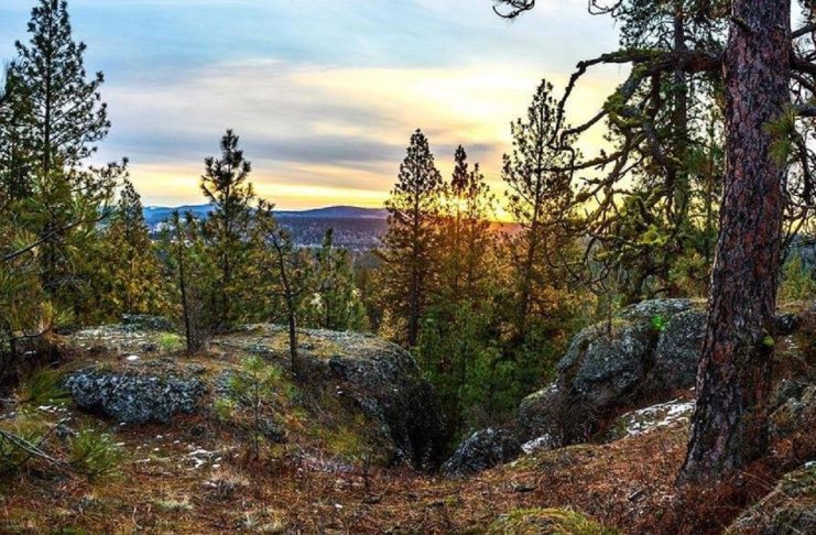 Spokane Green Spaces