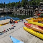 olympia kayak rentals Tugboat-Annies-Rental-Kayaks