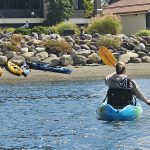 Olympia Washington Kayaking West Bay Park (15)