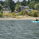 Olympia Washington Kayaking West Bay Park (51)