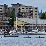 Olympia Washington Kayaking West Bay Park (60)