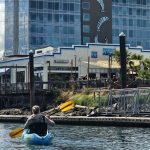 Olympia Washington Kayaking West Bay Park Olympia Oyster House