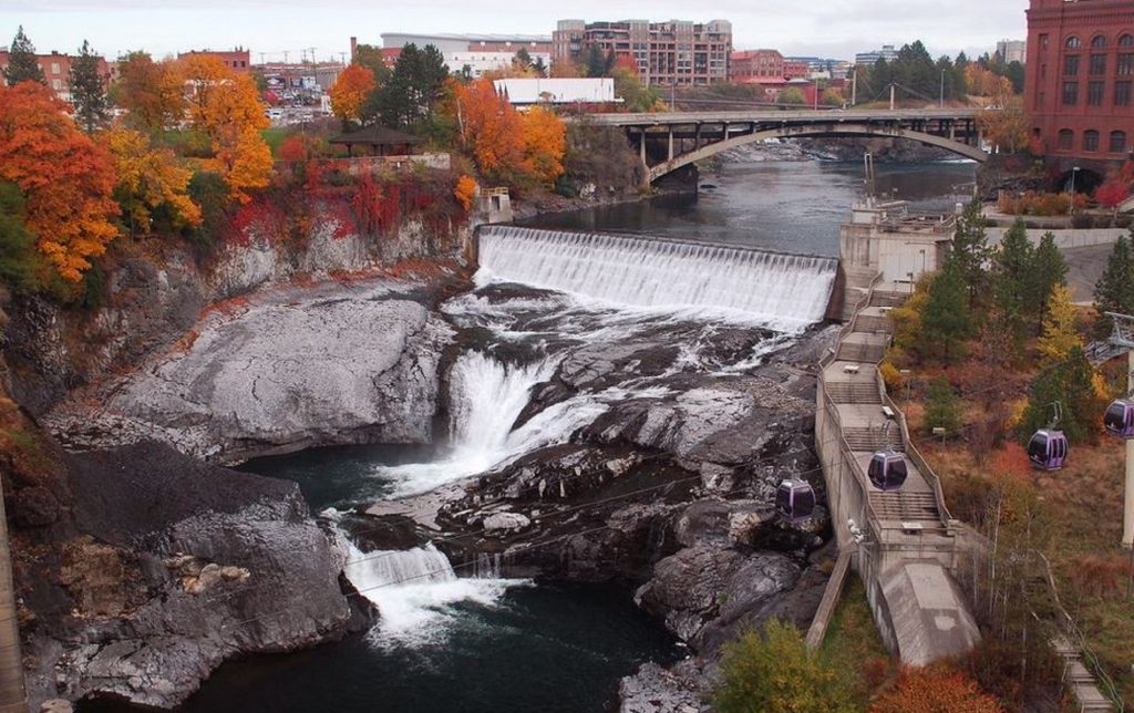 Fall Leaves Spokane