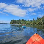 Olympia Budd Bay Kayaking Swantown and Squaxin Park – ThurstonTalk (21)