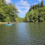 Olympia Budd Bay Kayaking Swantown and Squaxin Park – ThurstonTalk (64)