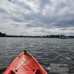 Olympia Budd Bay Kayaking Swantown and Squaxin Park – ThurstonTalk (77)
