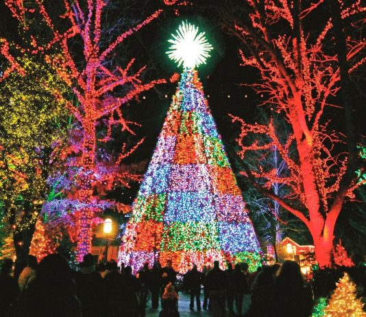 Holiday Lights Spokane