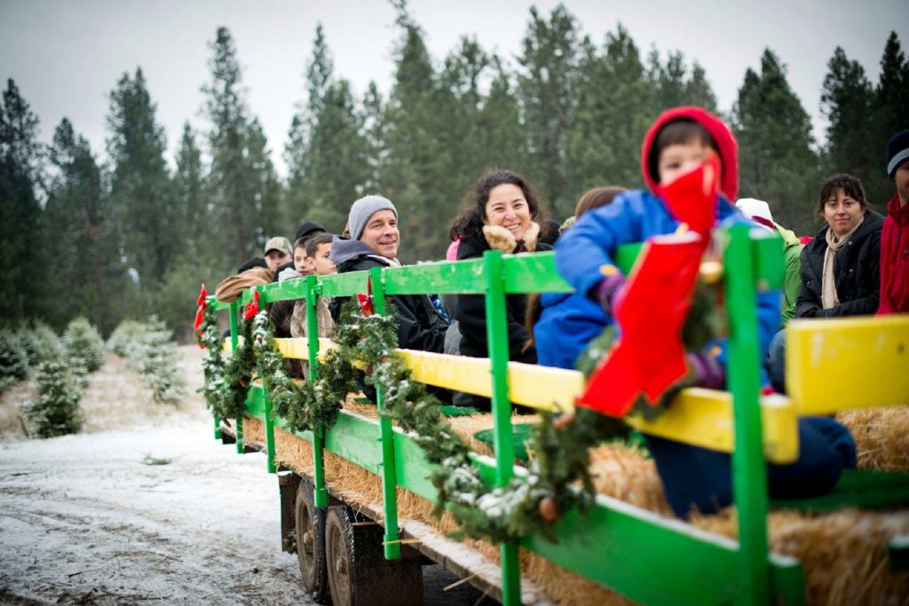 Spokane Christmas Tree Farms