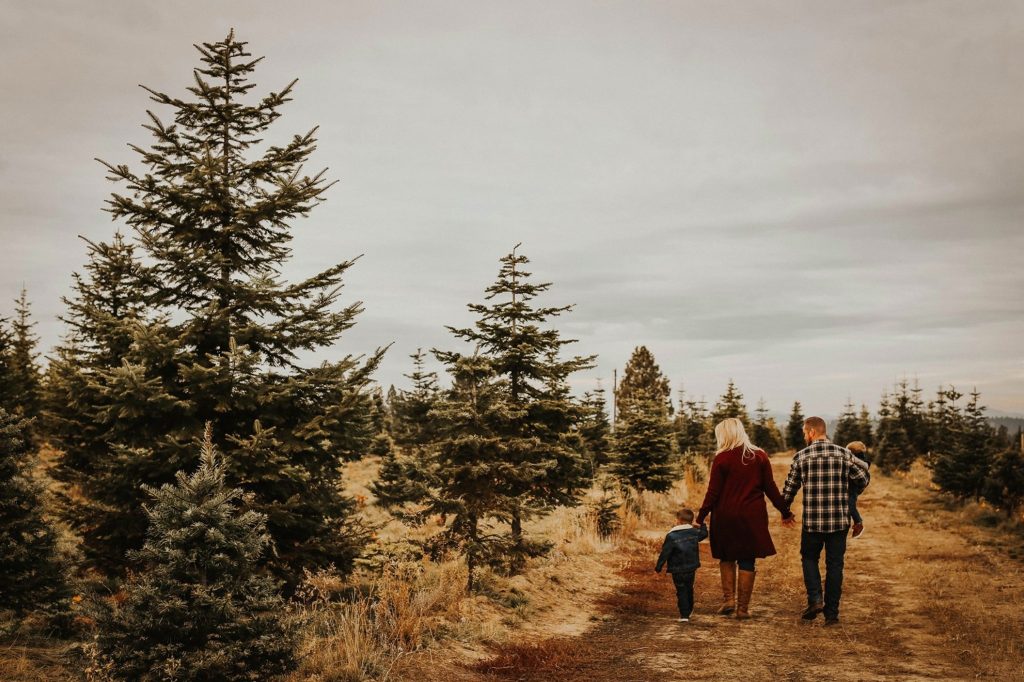 Spokane Christmas Tree Farms