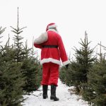Spokane Christmas Tree Farms gs christmas tree farm