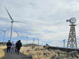 Puget Sound Energy Wild Horse Wind and Solar Facility