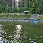 Woodard-Bay-Kayaking-Olympia-Lacey-1