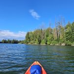 Woodard-Bay-Kayaking-Olympia-Lacey-11