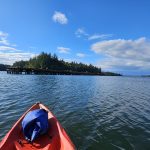 Woodard-Bay-Kayaking-Olympia-Lacey-14