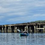 Woodard-Bay-Kayaking-Olympia-Lacey