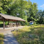 Woodard-Bay-Kayaking-Olympia-Lacey-19