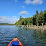 Woodard-Bay-Kayaking-Olympia-Lacey-21