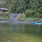 Woodard-Bay-Kayaking-Olympia-Lacey-23