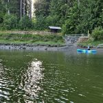 Woodard-Bay-Kayaking-Olympia-Lacey-24