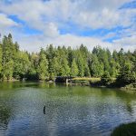 Woodard-Bay-Kayaking-Olympia-Lacey-6