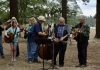 Rainier Bluegrass Festiva